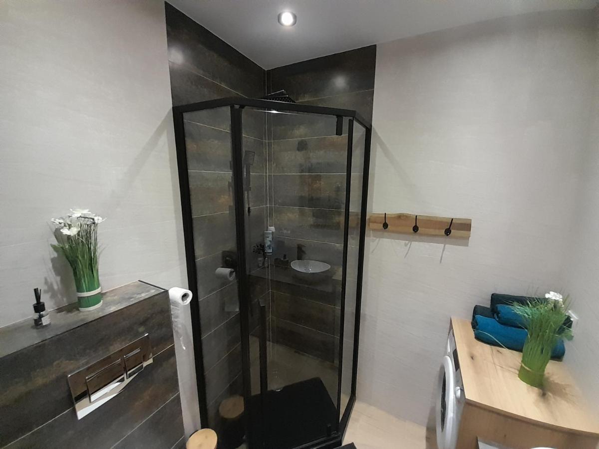 Zamość Apartament Amelia מראה חיצוני תמונה