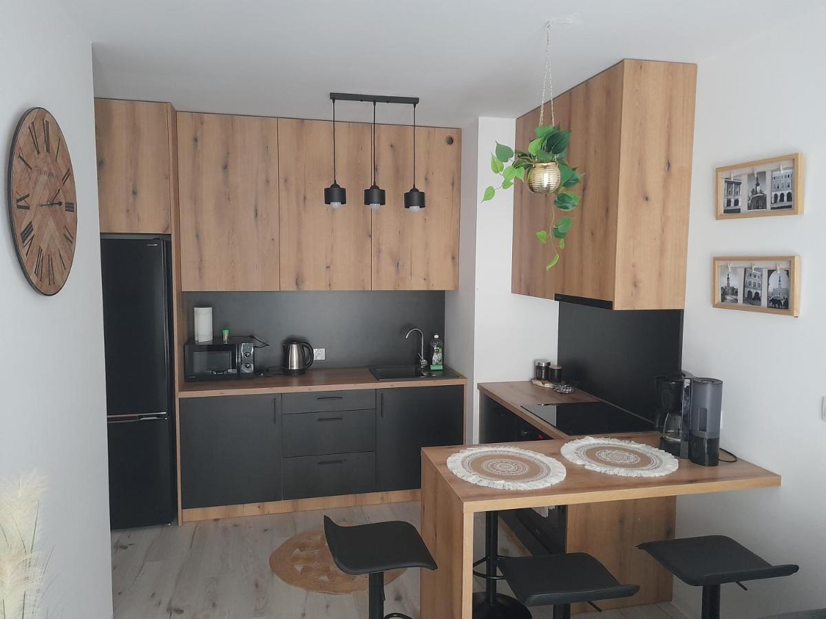 Zamość Apartament Amelia מראה חיצוני תמונה