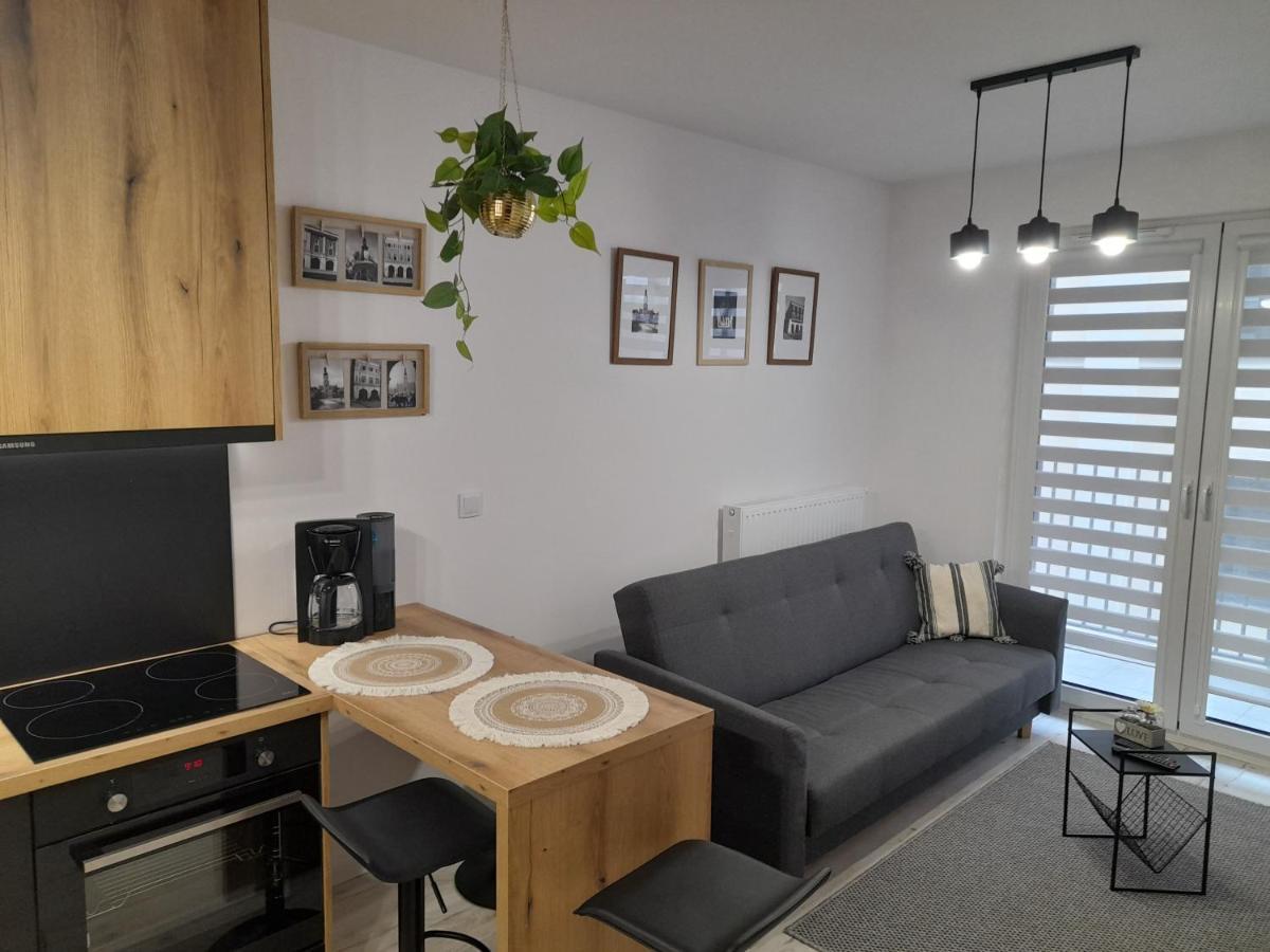 Zamość Apartament Amelia מראה חיצוני תמונה