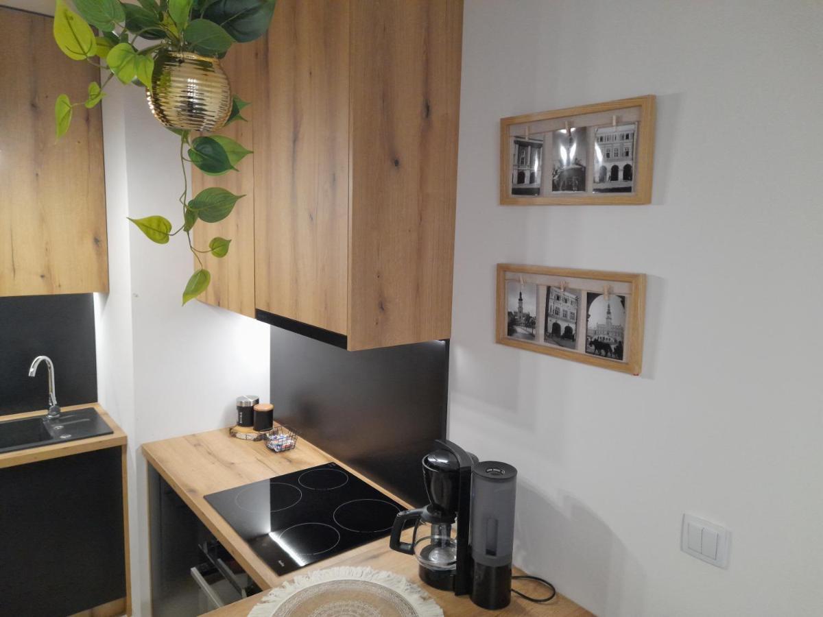 Zamość Apartament Amelia מראה חיצוני תמונה
