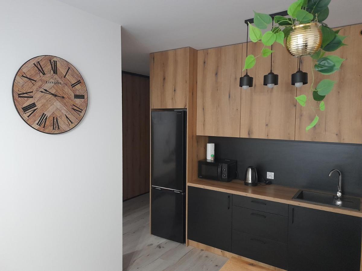 Zamość Apartament Amelia מראה חיצוני תמונה