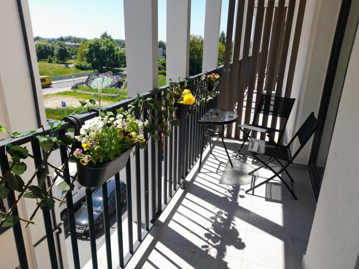 Zamość Apartament Amelia מראה חיצוני תמונה